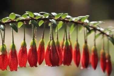 珠海香洲区1私人快速借钱网，轻松解决资金难题
