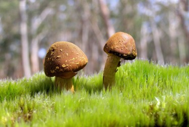 珠海香洲区1私人老板放款：轻松融资的秘密通道